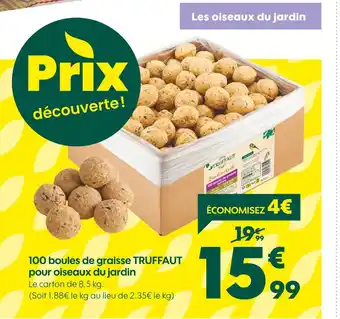 Truffaut Truffaut 100 boules de graisse pour oiseaux du jardin offre