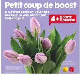 Truffaut Botte de 7 tulipes offre