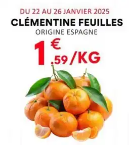 Hmarket Clementine feuilles offre