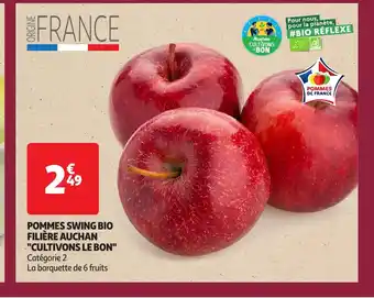 Auchan Pommes swing bio filière auchan offre