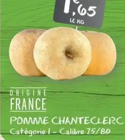 G20 Pomme chanteclerc offre