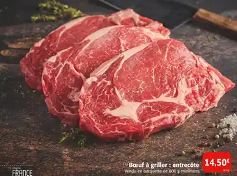 Colruyt Boeuf à griller : entrecôte offre