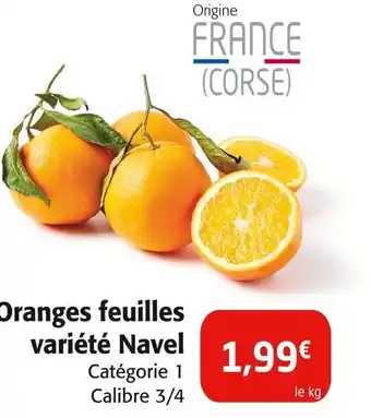 Colruyt Oranges feuilles variété Navel offre