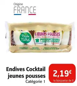 Colruyt Perle du Nord Endives Cocktail jeunes pousses offre