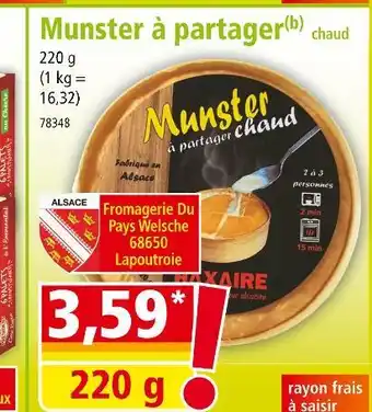 Norma Munster à partager chaud offre