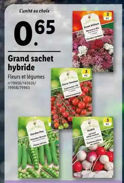 Lidl Grand sachet hybride offre