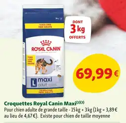 Maxi Zoo Royal Canin Maxi Croquettes offre