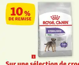 Maxi Zoo Royal Canin Croquettes pour chien stérilisé de petite taille offre