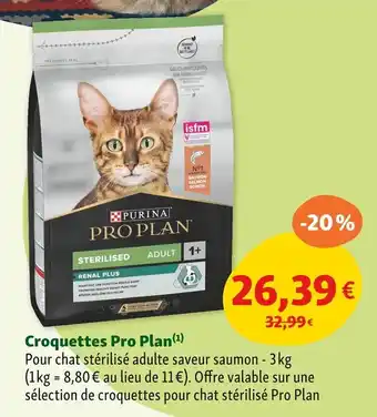 Maxi Zoo Purina Croquettes Pro Plan offre