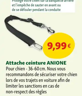 Maxi Zoo Anione Attache ceinture offre