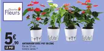 E.Leclerc QUARTIER FLEURS Anthurium avec pot en zinc offre