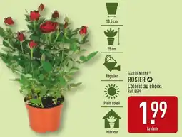 ALDI GARDENLINE Rosier offre