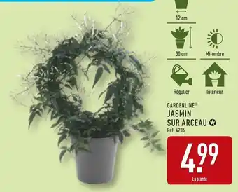 ALDI GARDENLINE Jasmin sur arceau offre