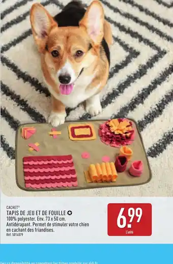 ALDI CACHET Tapis de jeu et de fouille offre