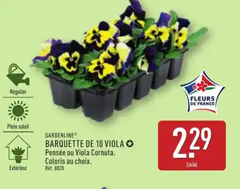 ALDI GARDENLINE Barquette de 10 viola offre