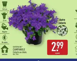 ALDI GARDENLINE Campanule offre