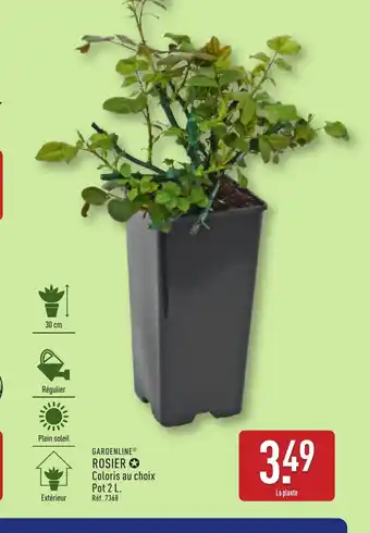 ALDI GARDENLINE Rosier offre