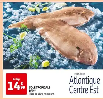 Auchan Supermarché Sole tropicale pan offre