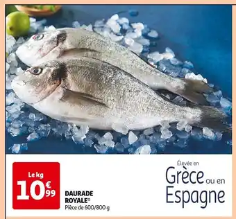 Auchan Supermarché Daurade royale offre