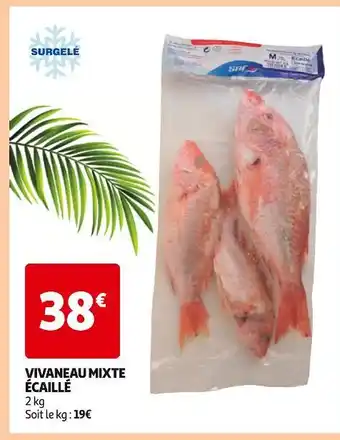 Auchan Supermarché Vivaneau Mixte Écaillé offre