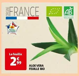 Auchan Supermarché Aloe Vera Feuille Bio offre