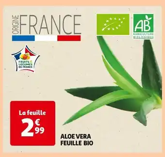 Auchan Aloe Vera Feuille Bio offre