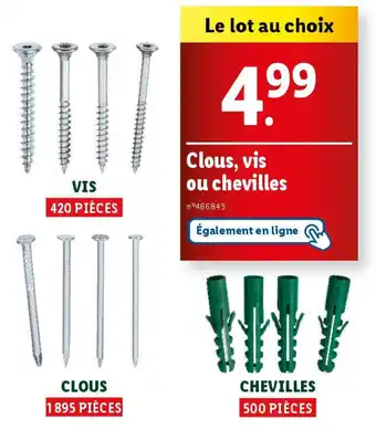 Lidl Clous, vis ou chevilles offre