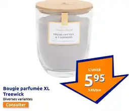 Action Bougie parfumée XL Treewick offre