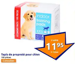 Action Tapis de propreté pour chien offre