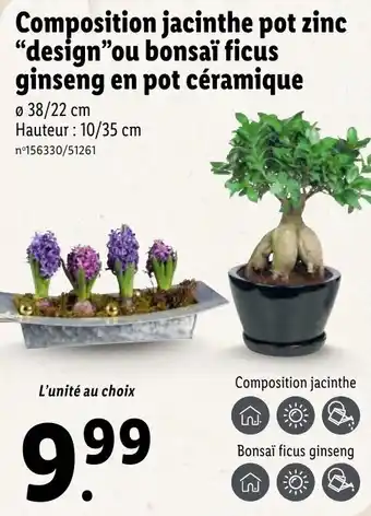 Lidl Composition jacinthe pot zinc offre