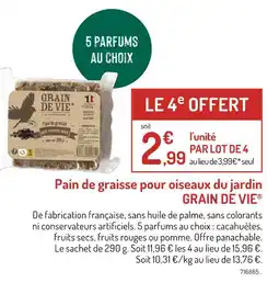 Botanic GRAIN DE VIE Pain de graisse pour oiseaux du jardin offre