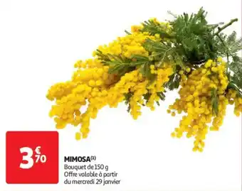 Auchan Supermarché Mimosa offre