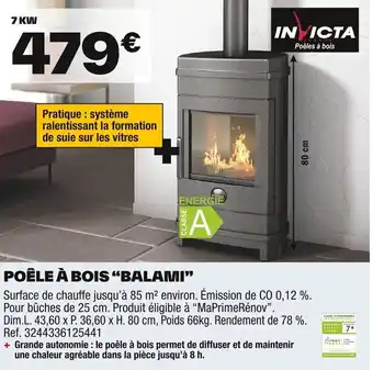 Brico Dépôt INVICTA Poêle à bois "balami" offre