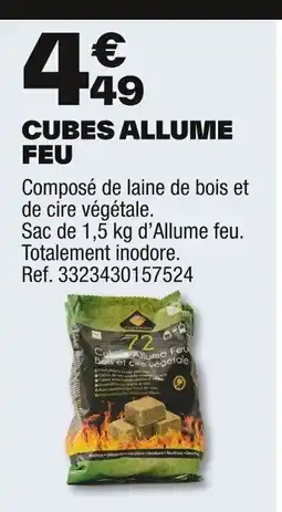 Brico Dépôt Cubes allume feu offre