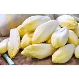 Carrefour Endive offre