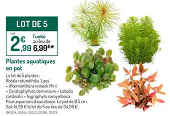 Botanic Plantes aquatiques en pot offre