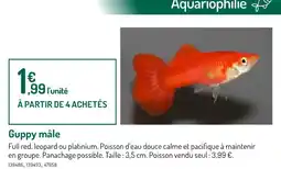 Botanic Guppy mâle offre