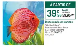 Botanic Discus couleurs variées offre