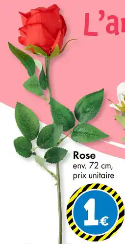 TEDi Rose offre