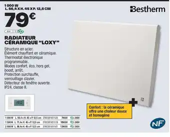 Brico Dépôt Radiateur céramique loxy offre