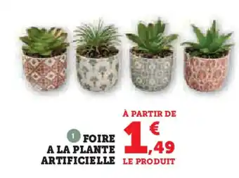 Super U Foire a la plante artificielle offre