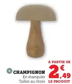 Super U Champignon offre