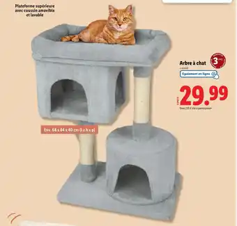 Lidl zoofari Arbre à chat offre