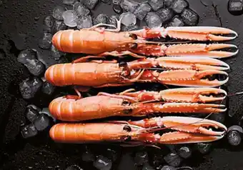 Thiriet Langoustines Entiéres Crues offre