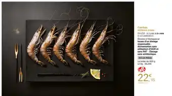Thiriet Gambas Entiéres Crues offre