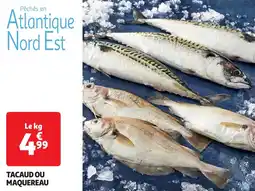 Auchan Pêchés en atlantique nord est tacaud ou maquereau offre