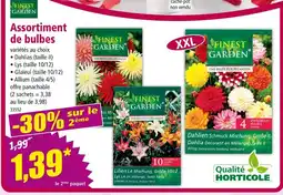 Norma FINEST GARDEN Assortiment de bulbes offre