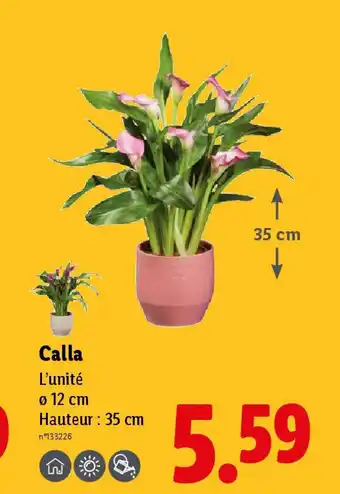 Lidl Calla offre