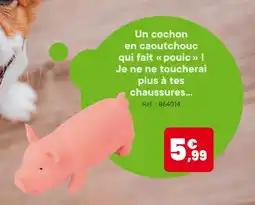 Animalis Cochon en caoutchouc offre