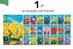 Stokomani Les bulbes de fleurs offre